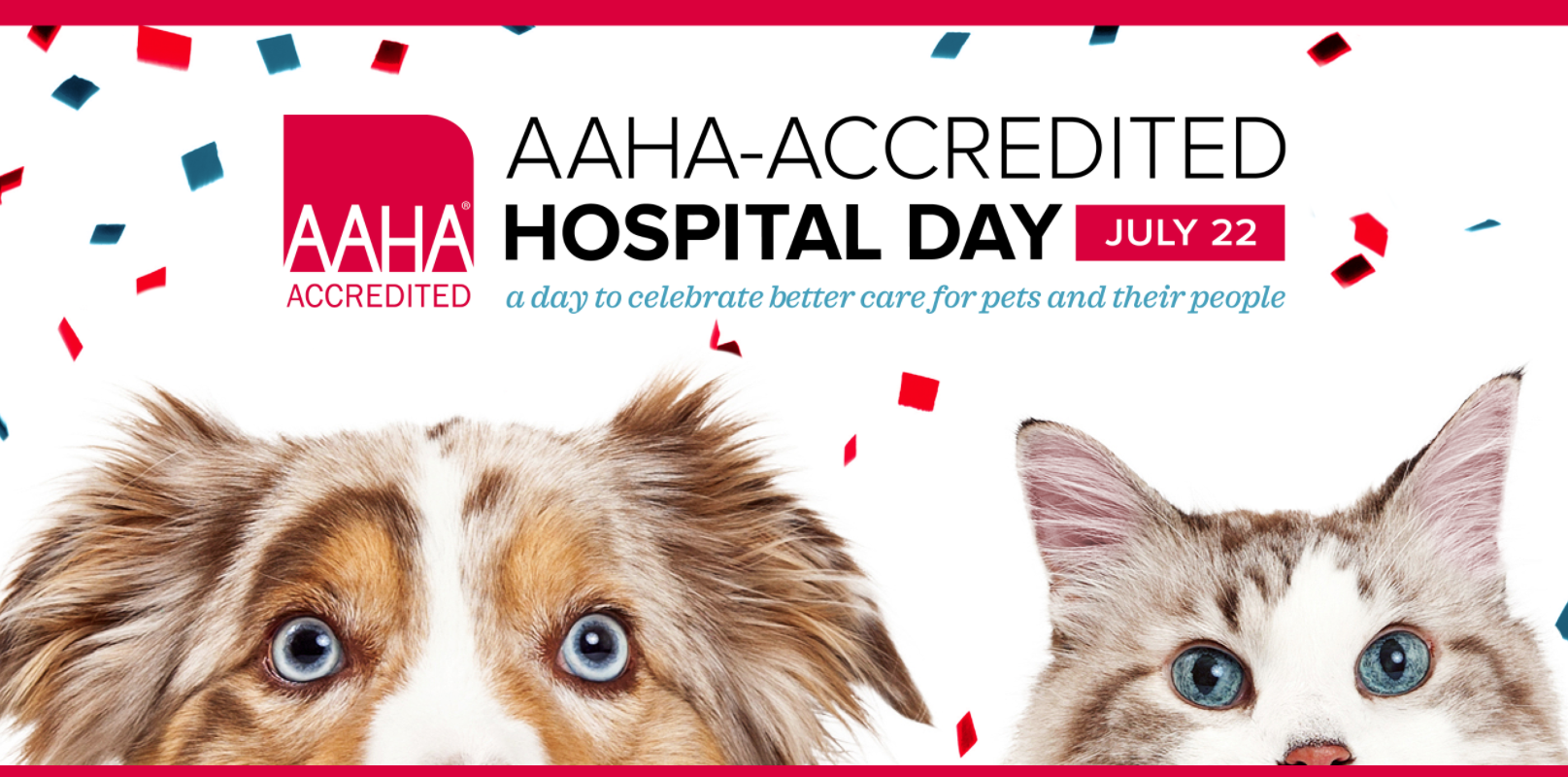 AAHA-Accredited Hospital Day: A Day to Celebrate Better Care for Pets and Their People