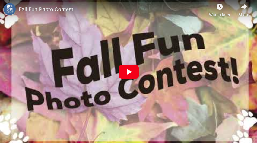 Fall Fun Photo Contest