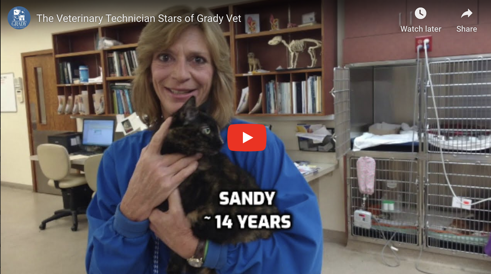 The Veterinary Technician Stars of Grady Vet