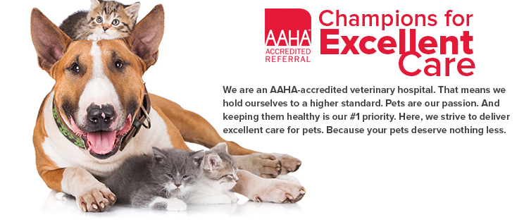 AAHA Accredited Referral