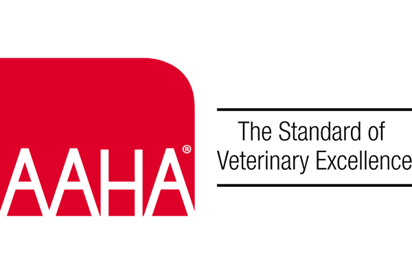 Grady Vet Achieves New AAHA Accreditation Standard for Internal Medicine Referrals