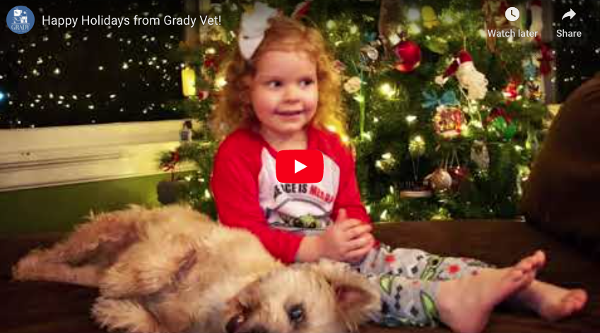 Happy Holidays from Grady Vet!