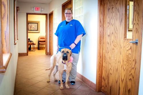Meet Our Veterinary Receptionists