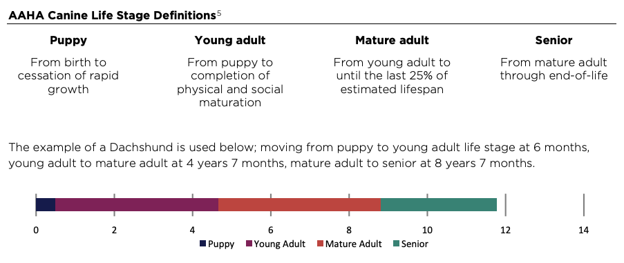 Pet Health Month: Focus on Dogs