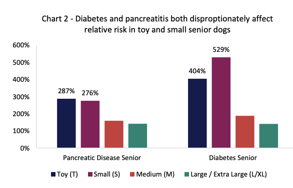 Pet Health Month: Focus on Dogs