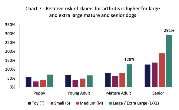 Pet Health Month: Focus on Dogs