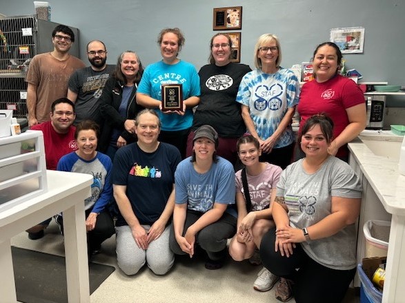 Cat Volunteer Holly Phillips: Fostered Over 100 Kittens  