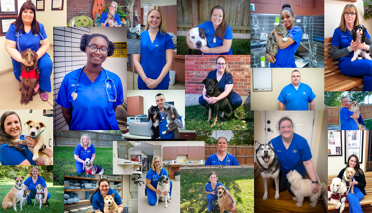 Our Veterinary Technicians Are the Best!