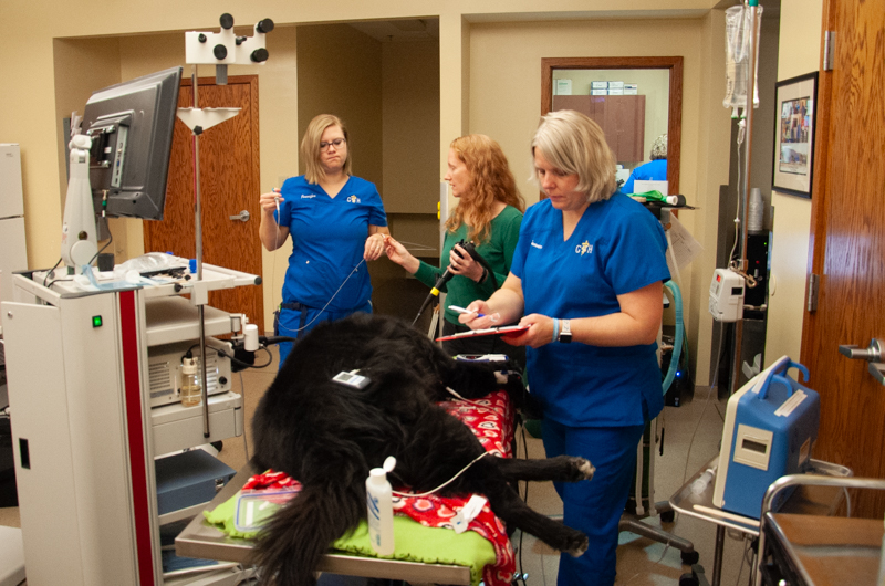 Grady Veterinary Hospital Photos