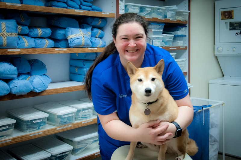 Grady Veterinary Hospital Photos