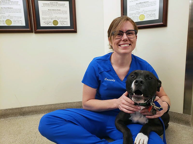 Grady Veterinary Hospital Photos