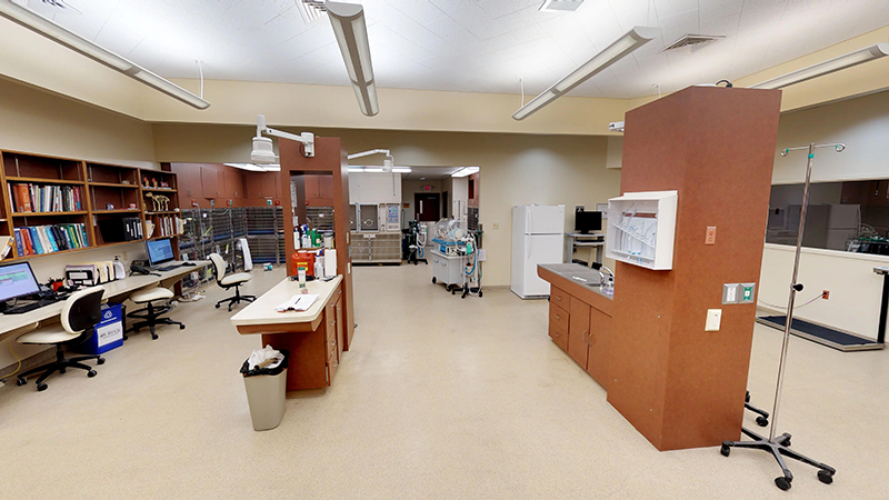 Grady Veterinary Hospital Photos