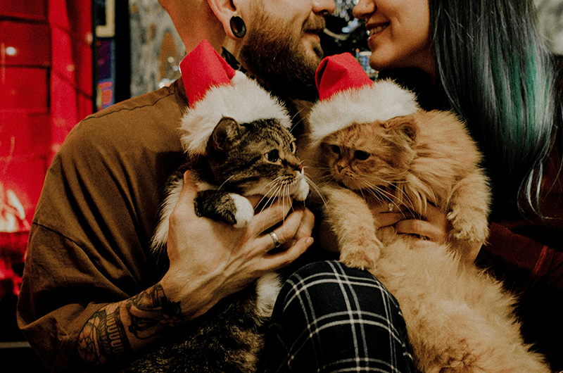 Our Top Pet Safety Tips for the Holidays